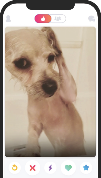 image of dog on tinder